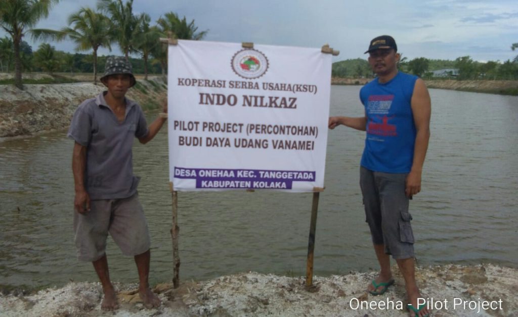 Geliat Indo Nilkaz dalam Pilot Project Udang Vanamei di Desa Oneeha