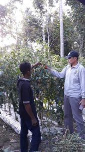 DINAS TANAMAN PANGAN DAN HORTIKULTURA KAB TOLI-TOLI, RUSTAM REWA MENJAMIN STOK PANGAN TERSEDIA PASCA MENJELANG HARI RAYA IDUL FITRI