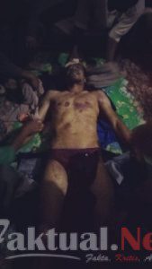 Warga Meranti Tewas Tertimpa Pohon Sawit