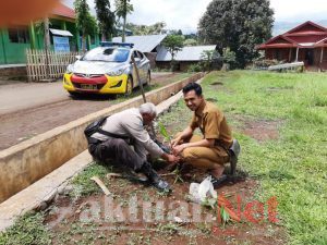 Peduli Penghijauan, Bhabinkamtibmas Polsek Tombolo pao Lakukan Penanaman Pohon Pada Daerah Tandus