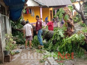 Kapolsek Pallangga Gowa Terjun Langsung Melihat  Warga yang Rumahnya Tertimpa  Pohon Tumbang
