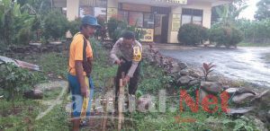 Peduli, Personil Polsek Tompobulu Polres Gowa Lakukan Perawatan Terhadap Pohon Yang Sudah Di Tanam