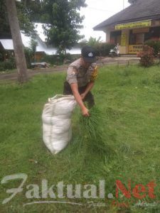 Peduli Kebersihan Komando, Bhabinkamtibmas Polsek Tompobulu Polres Gowa Pangkas Rumput Di Halaman Mako