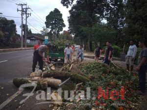 Bhabinkamtibmas Malino Polres Gowa Bersama Warga Membersihkan Ranting Pohon Yang Menutupi Jalan
