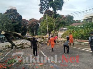 Bhabinkamtibmas Polsek Tinggimoncong polres Gowa Bersama Waega Membersihkan Pohon Yang menutupi Jalan Endang