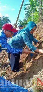 Kepala Dinas Pemberdayaan Masyarakat Gowa Tanam Rumput Vetiver Di Desa Ulujangan