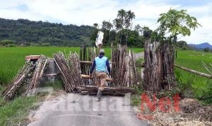 Waspada Covid-19 Pemerintah Desa Majannang Terapkan ” Lockdown” Lokal