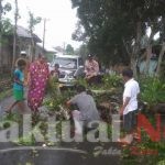 Bersama Masyarakat, Bhabinkamtibmas Polsek Tompobulu Polres Gowa Bersihkan Pohon Yang Tumbang