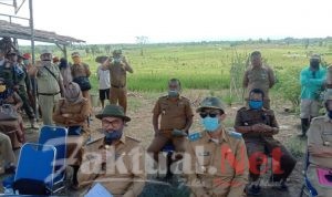 Demi Kestabilan Pangan di Konsel, Surunuddin Dangga Harap DAK Pertanian Tetap Disalurkan