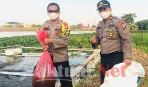Dukung Logistik Dapur Umum TNI – Polri, Kapolres Gowa Beternak Lele