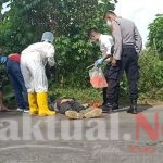 Sesosok Mayat Ditemukan Di Badan Jalan, Satreskrim Polres Gowa Gelar Olah TKP