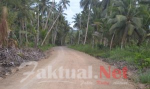 Dinas PUPR Kota Tikep Sikapi Kerusakan Jalan Di Desa Maidi