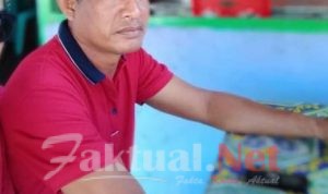 Konsolidasi Untuk AMAN Terus Digalakkan, BAGUS Dan SALAMAT Siap Dikalahkan