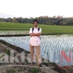 Kritik Ketua AMPI Sultra Tanpa Dasar, Ketua AMPG Mubar Dinilai Keracunan Covid Politik