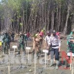 Lestarikan Mangrove Kodim 1424 Sinjai Adakan Penanaman di Pantai Hubat