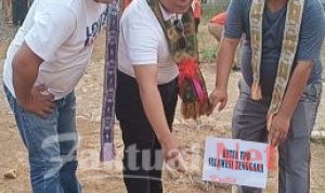 Pemantau Pilkada Konsel: Pelaku Kekerasan dan Penghinaan Ketua PPS Agar Segera di Tahan