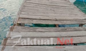 Kami Warga Desa Harapan Tidak Butuh Janji, Kami Butuh Realisasi Bukan Cerita