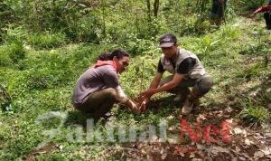 Peduli Lingkungan, Relawan KSR PMI UNHAS bersama LSM Poros Rakyat Tanam 1000 Pohon