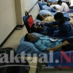 201 ASN dan PJLP Ikut Donor Darah di Kantor Walikota Jakarta Utara 