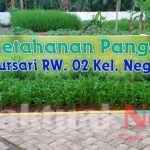 Entis Sutisna RT Pelopor membumikan anggur di Kampung Anggur Sari Neglasari Tangerang