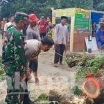 Pohon Tumbang di Jalan, Sabhara Polres Gowa Lakukan Evakuasi Bersama Warga dan Babinsa