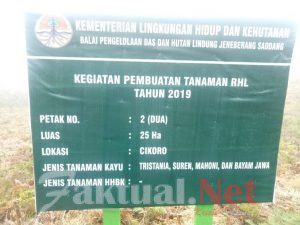 Penghijaun hutan Di Cikoro tidak sesuai RAB. ini penjelesalan Cv.mapatu abadi dan Balai kementrian kehutanan Sulsel