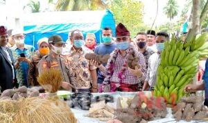Hadir Pesta Panen Bupati Butur Akui Masyarakat Laeya Bertani Organik, Anton Iradat: Satu Tekad, Setia Melanjutkan Program Pemerintah