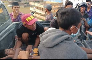 Tertimpa Kayu, Warga Raimuna Akhirnya Tewas Ditempat