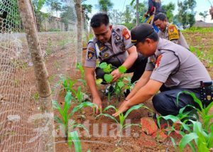 Peduli Lingkungan, Personil Polsek Tompobulu Gowa Lakukan Penanaman Pohon