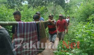 Breaking News, Warga Desa Bontolempangan Tertimpa Pohon. Briker Batara Bantu Evakwasi