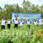 Dukung Ketahanan Pangan, Danlantamal XI Merauke dan Jajaran Gelar Panen Bersama