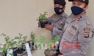 Dukung Program Kapolres Baubau, Polsek Mastim Adakan Kegiatan Budikdamber