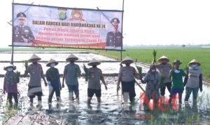 Sambut HUT Bhayangkara ke 74 Tahun, Polres Metro Jakut Tingkatkan Ketahanan Pangan