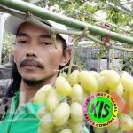 Kebun imut “Nakal” Yatno Gondrong Malakasari Duren Sawit, Jakarta