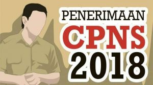 Jatah CPNS Kabupaten Muna 290 Orang